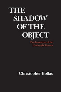 The Shadow of the Object 
