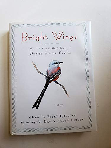 Bright Wings