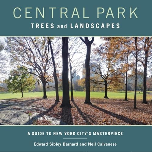 Central Park Trees and Landscapes