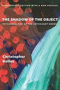 The Shadow of the Object 