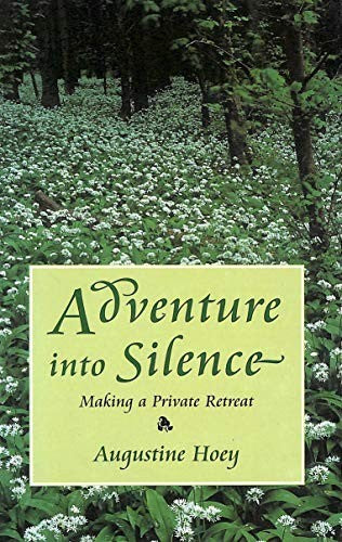 Adventure into Silence