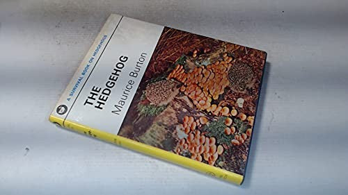 The Hedgehog