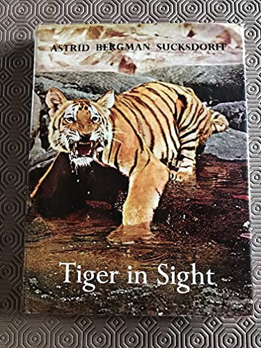 Tiger in Sight