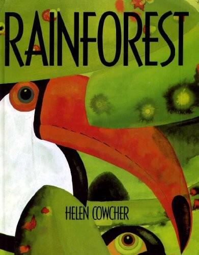 Rain Forest