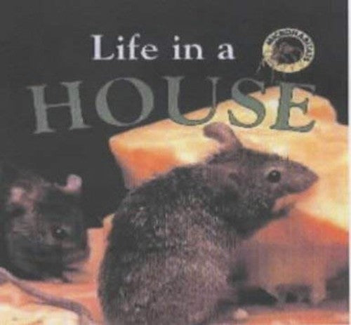 Life in a House