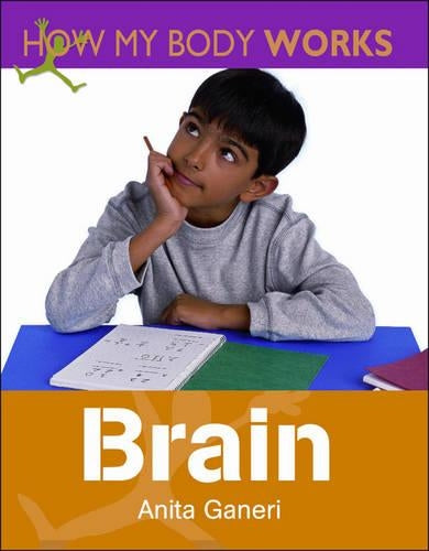 Brain
