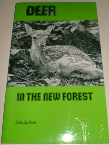 Deer in the New Forest