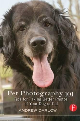 Pet Photography 101