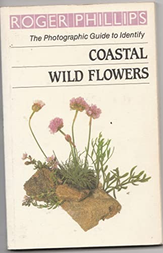 Coastal Wild Flowers
