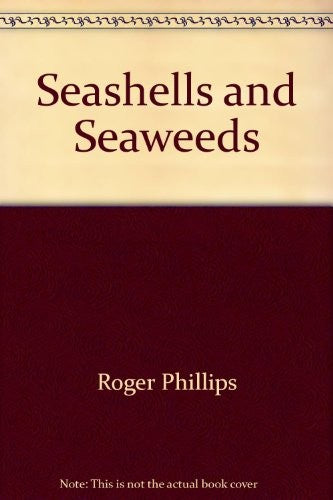Seashells & Seaweeds