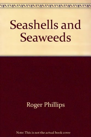Seashells & Seaweeds