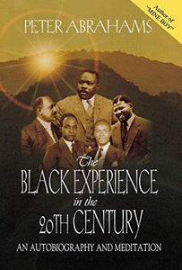 Black Experience in the 20th Century 