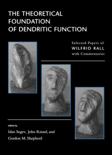 The Theoretical Foundation of Dendritic Function