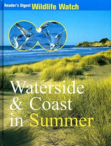 Waterside  Coast in Summer
