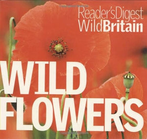 Wild Flowers 