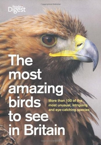 The Most Amazing Birds to See in Britain