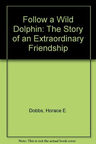Follow a Wild Dolphin