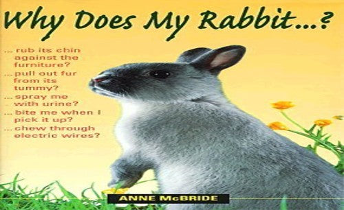 Why Does My Rabbit...?