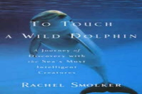 To Touch a Wild Dolphin