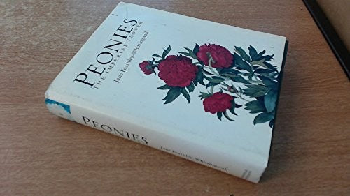 Peonies