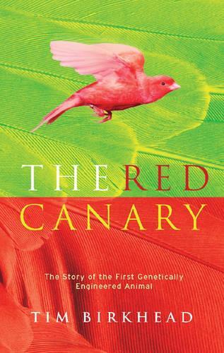 The Red Canary