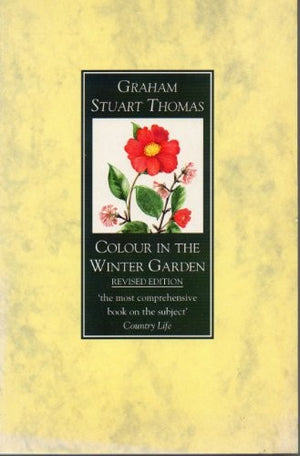 Colour in the Winter Garden