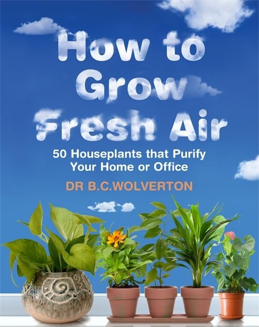 How To Grow Fresh Air
