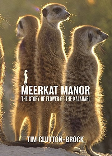 Meerkat Manor