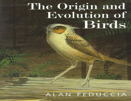 The Origin and Evolution of Birds