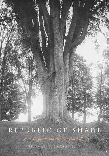 Republic of Shade