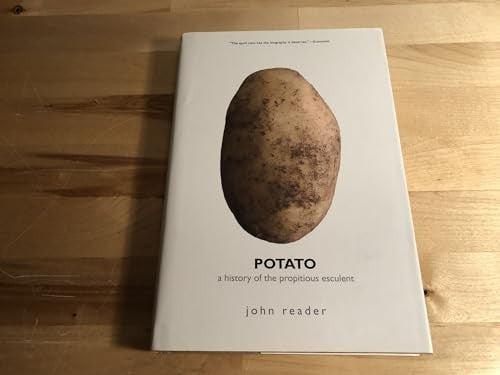 Potato