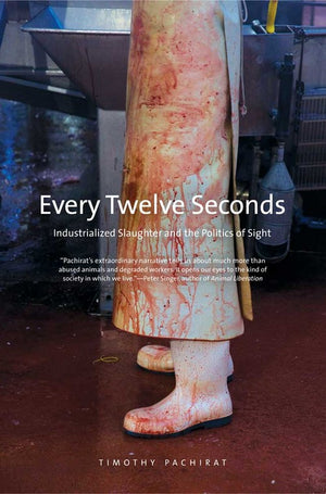 Every Twelve Seconds