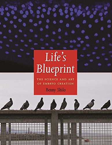 Life's Blueprint