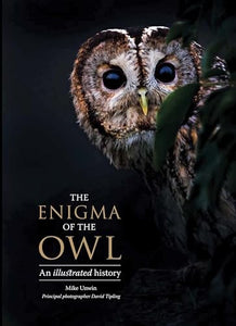 The Enigma of the Owl 