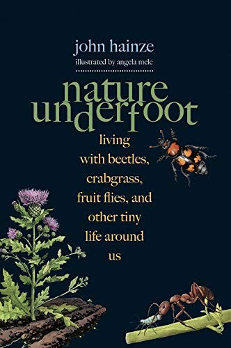 Nature Underfoot