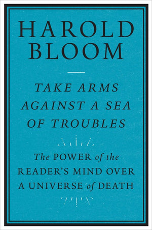 Take Arms Against a Sea of Troubles