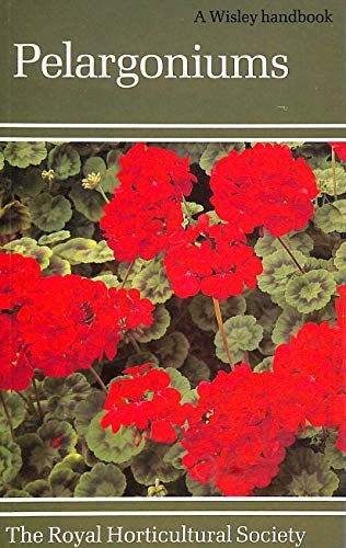 Pelargoniums
