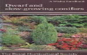 Dwarf and Slow-growing Conifers