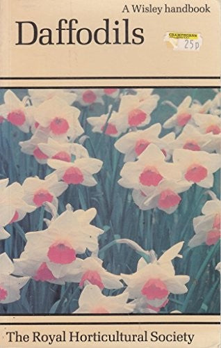 Daffodils