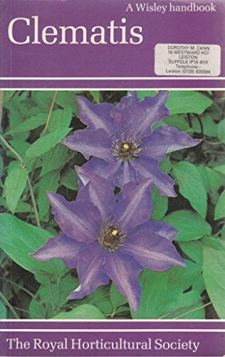 Clematis