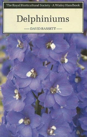 Delphiniums