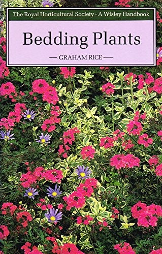 Bedding Plants