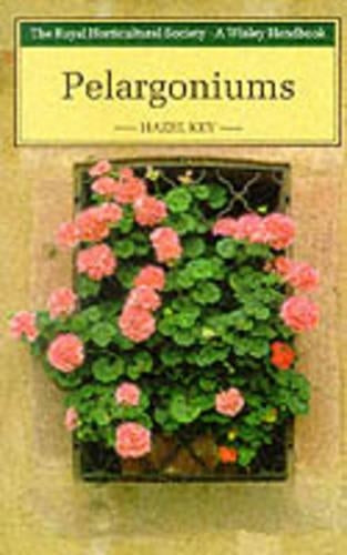 Pelargoniums