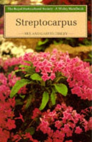 Streptocarpus