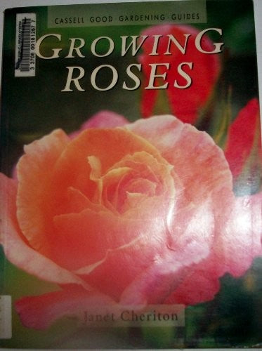Growing Roses