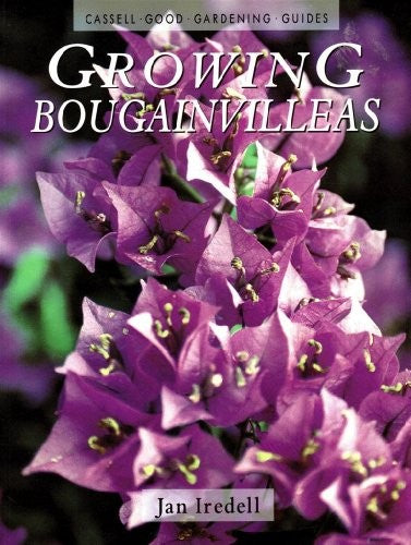 Growing Bougainvilleas