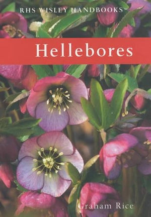 Hellebores