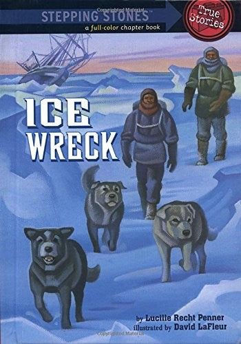 Ice Wreck