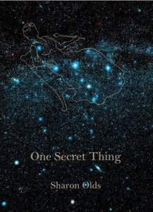 One Secret Thing 
