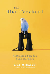 The Blue Parakeet 